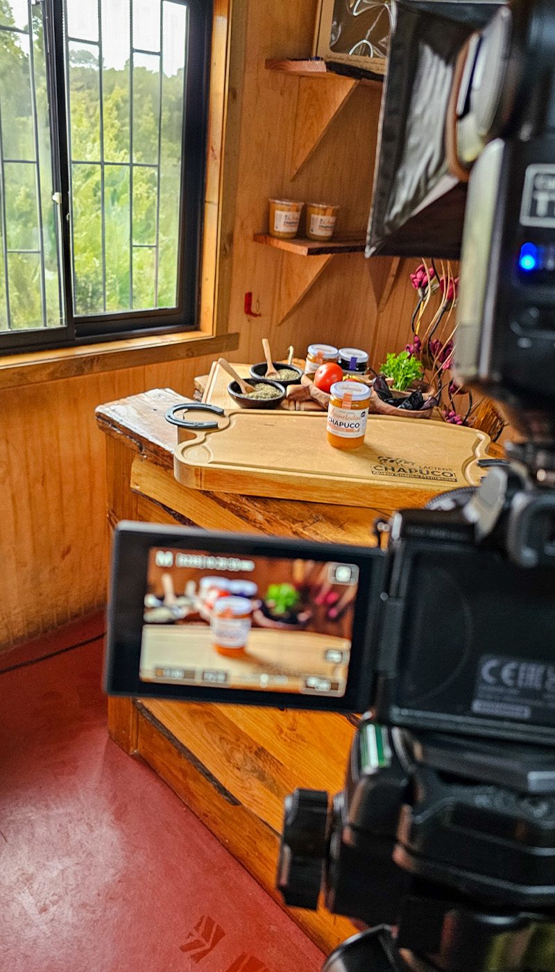 creación de contenido